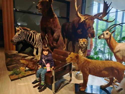 姆伯莫组织法国母校学生探访卡灵顿训练基地