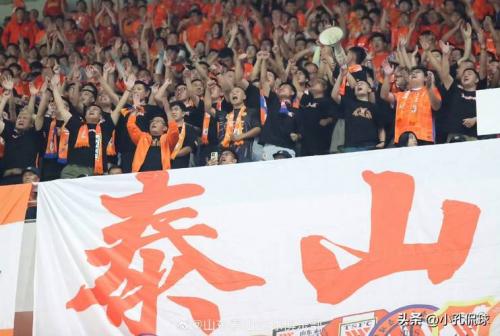 山东泰山引援新动向,目标中卫本科维奇在AIK训练中缺席