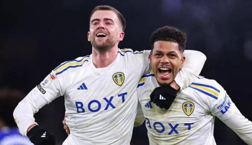 帕尔默出战利兹联获官方确认，阿昌庞未来将固定在中卫