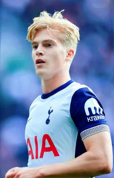 热刺迎来新主帅图多尔，他表示球队阵容实力是执教关键吸引力