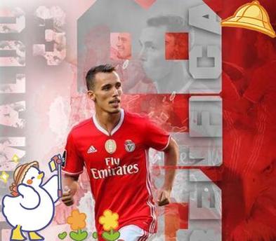 谢尔德鲁普点出败因：本菲卡效率低被皇马惩罚