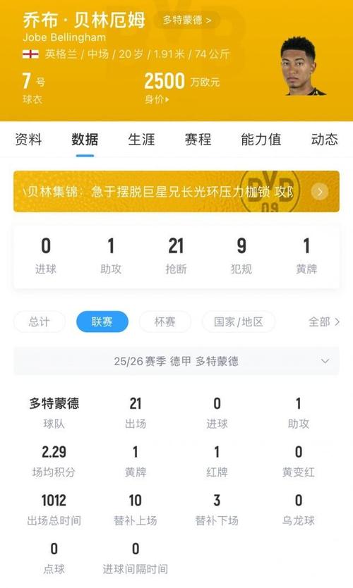 多特蒙德3800万投资遇阻，贝林34场仅3助攻