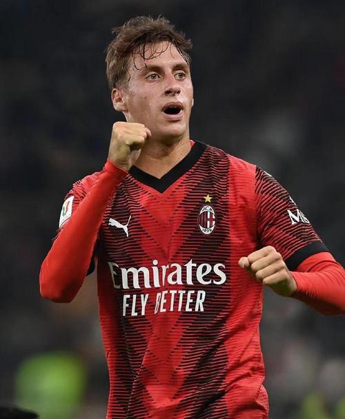 米兰伤情通报：加比亚、菲尔克鲁格已进入恢复阶段