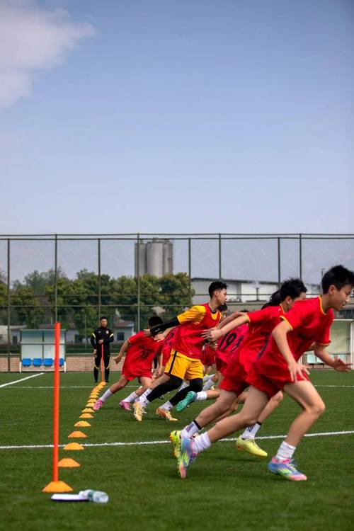 足球青训大区营二期招募2012年出生球员